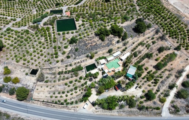 Wiederverkauf - Country Property/Finca - Cautivador - Inland