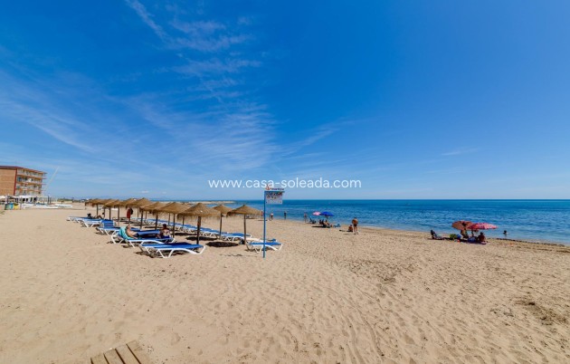 Wiederverkauf - Wohnung - Torrevieja - Costa Blanca