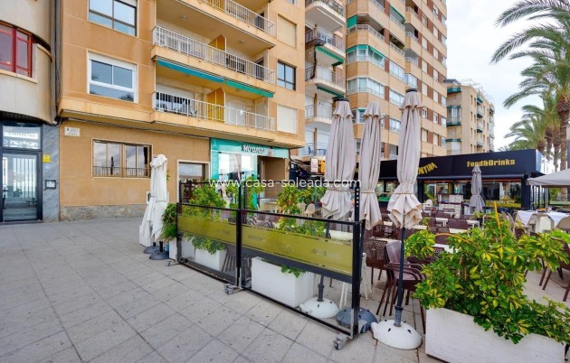 Herverkoop - Appartement / flat - Torrevieja - Paseo Maritimo
