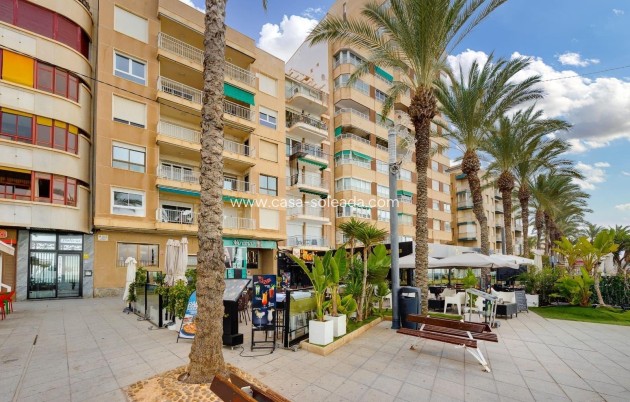 Herverkoop - Appartement / flat - Torrevieja - Paseo Maritimo