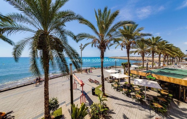 Herverkoop - Appartement / flat - Torrevieja - Paseo Maritimo