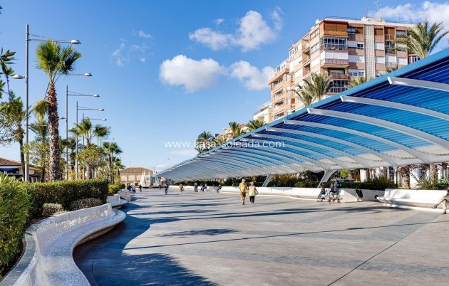 Herverkoop - Appartement / flat - Torrevieja - Paseo Maritimo