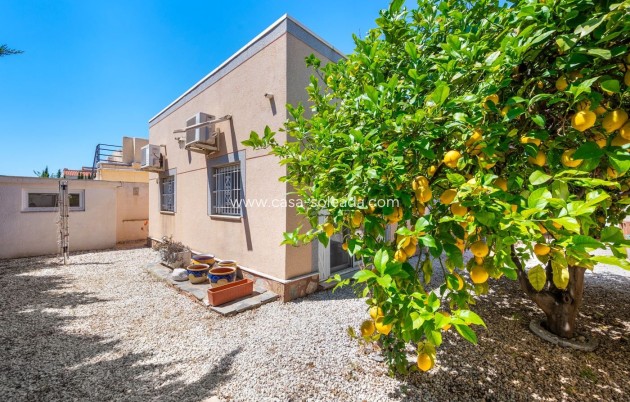 Wiederverkauf - Stadthaus - Torrevieja - Costa Blanca
