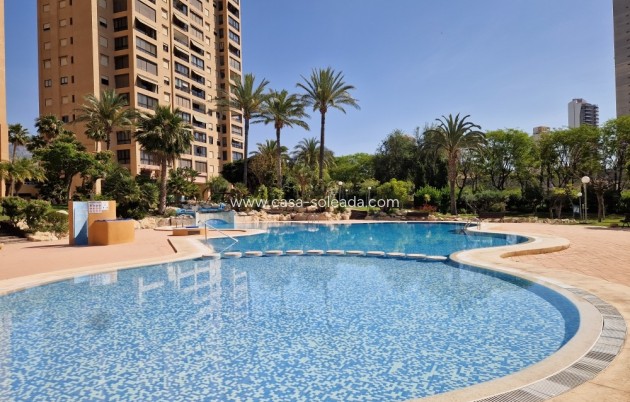 Herverkoop - Appartement / flat - Benidorm - Costa Blanca