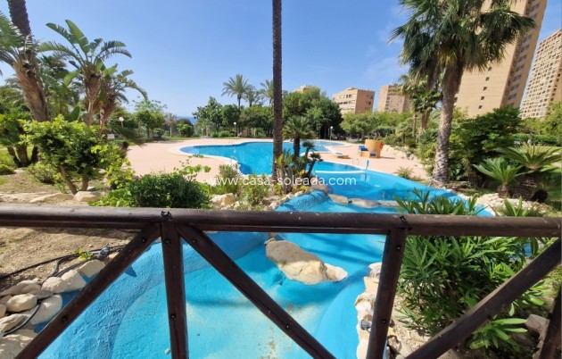 Herverkoop - Appartement / flat - Benidorm - Costa Blanca
