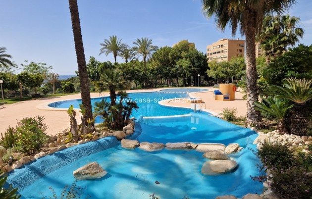 Herverkoop - Appartement / flat - Benidorm - Costa Blanca