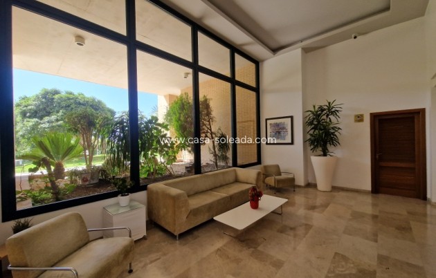 Herverkoop - Appartement / flat - Benidorm - Costa Blanca