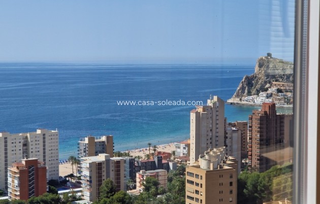 Herverkoop - Appartement / flat - Benidorm - Costa Blanca