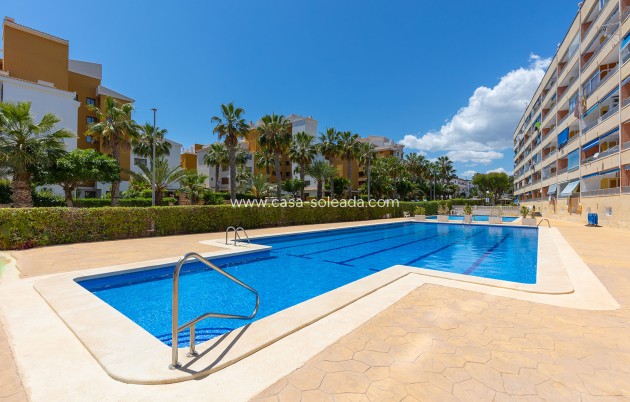 Revente - Appartement - Torrevieja - Costa Blanca