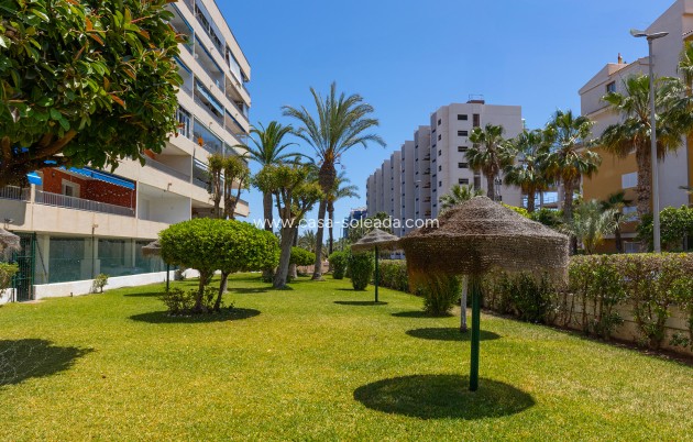 Revente - Appartement - Torrevieja - Costa Blanca