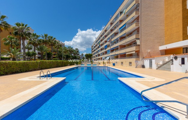 Revente - Appartement - Torrevieja - Costa Blanca