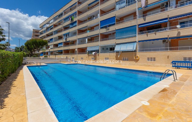 Revente - Appartement - Torrevieja - Costa Blanca