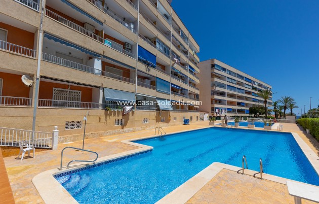 Revente - Appartement - Torrevieja - Costa Blanca