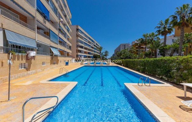Revente - Appartement - Torrevieja - Costa Blanca