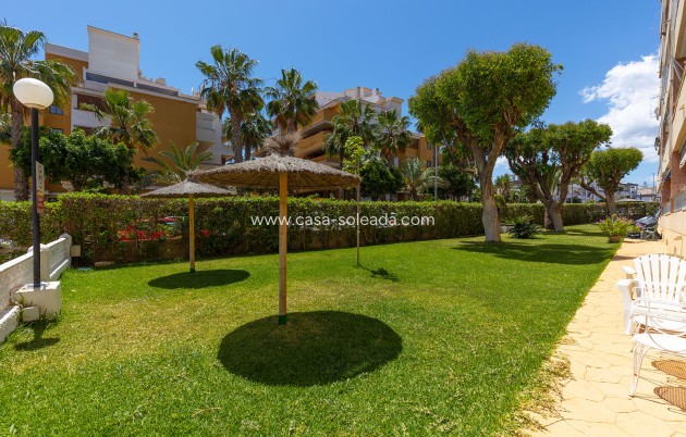 Revente - Appartement - Torrevieja - Costa Blanca