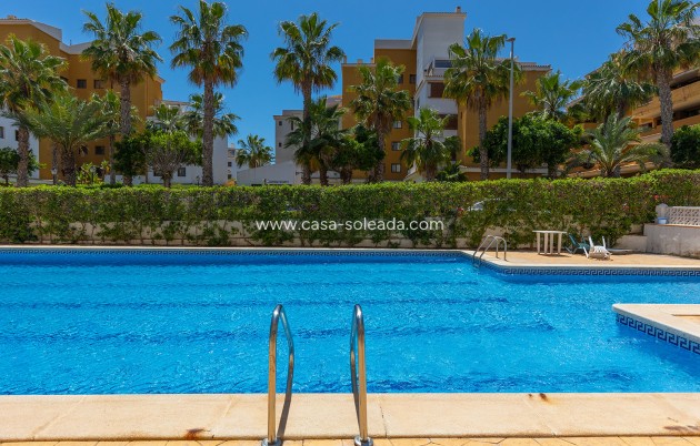 Revente - Appartement - Torrevieja - Costa Blanca