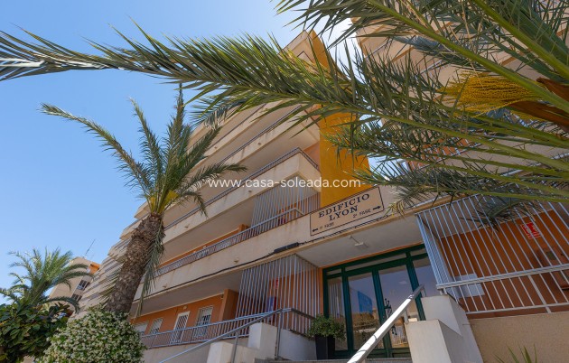 Revente - Appartement - Torrevieja - Costa Blanca