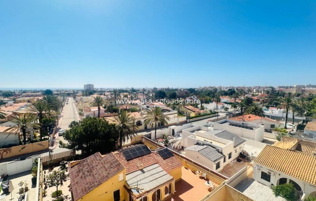 Herverkoop - Appartement / flat - Torrevieja - Nueva Torrevieja