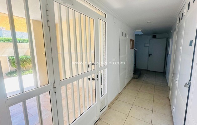 Herverkoop - Appartement / flat - Torrevieja - Nueva Torrevieja