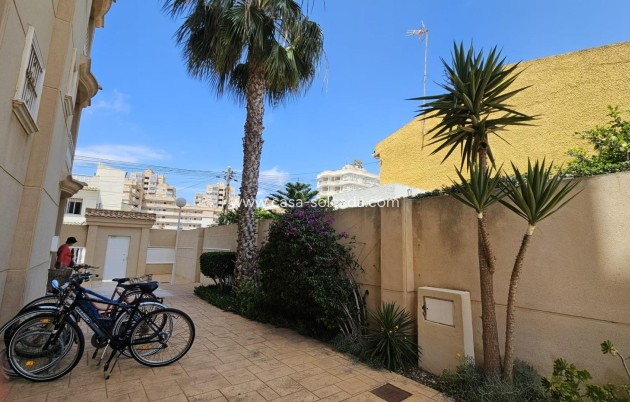 Herverkoop - Appartement / flat - Torrevieja - Nueva Torrevieja