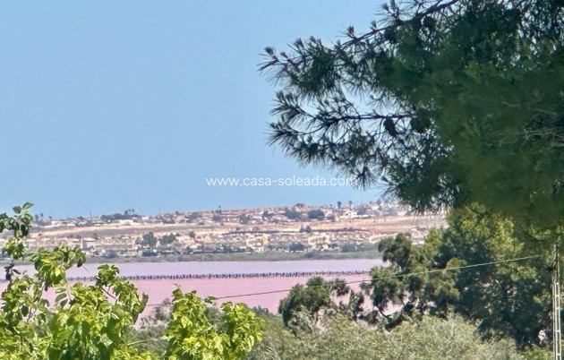 Wiederverkauf - Wohnung - Torrevieja - Los Balcones