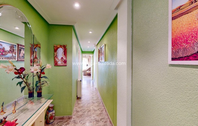 Revente - Appartement - Torrevieja - Acequion