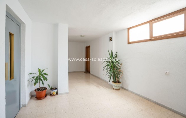 Wiederverkauf - Wohnung - Torrevieja - Acequion