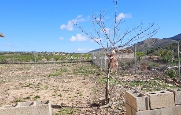 Wiederverkauf - Villa - Monóvar - Comunidad Valenciana