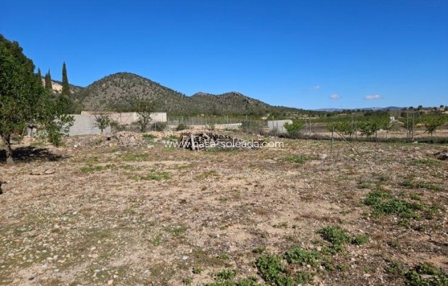 Wiederverkauf - Villa - Monóvar - Comunidad Valenciana