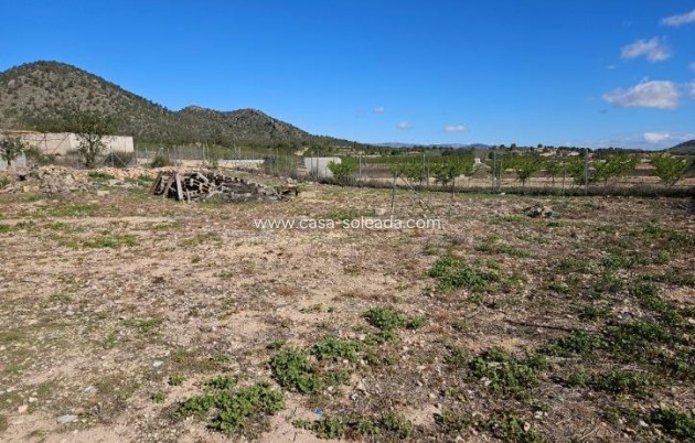 Wiederverkauf - Villa - Monóvar - Comunidad Valenciana