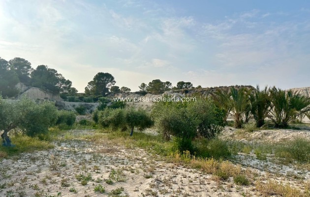 Reventa - Country Property/Finca - Abanilla - Inland
