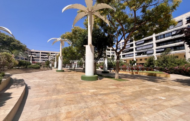 Revente - Appartement - Guardamar del Segura - Costa Blanca