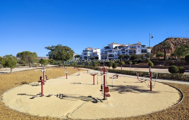 Resale - Apartment / flat - Hacienda Riquelme Golf Resort - Inland