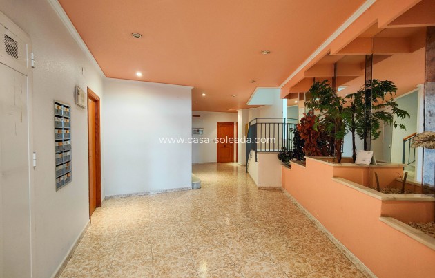 Resale - Apartment / flat - Torrevieja - Costa Blanca