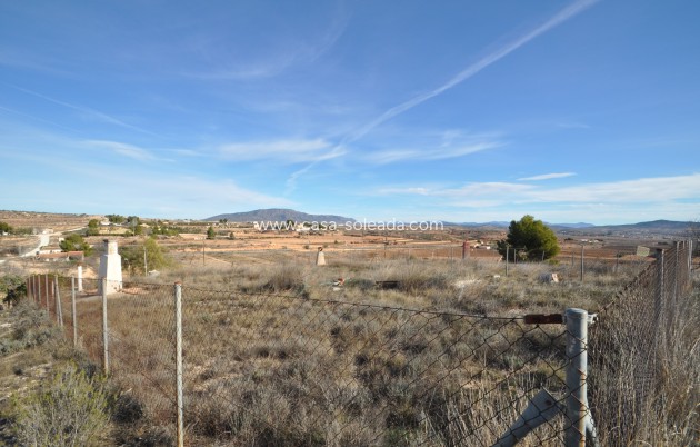 Resale - Country Property/Finca - Pinoso - Inland