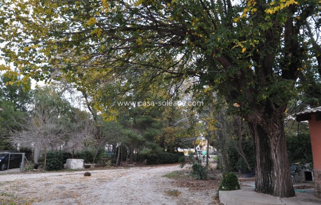 Resale - Townhouse - Pinoso - Inland