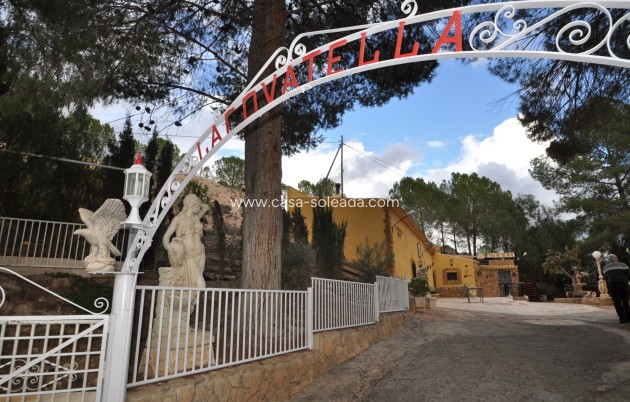 Resale - Country Property/Finca - Pinoso - Inland