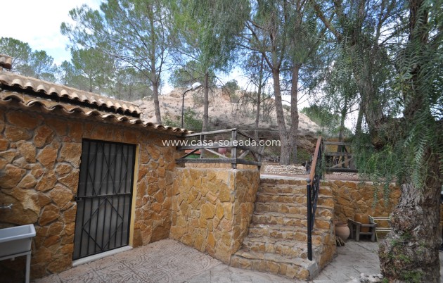Resale - Country Property/Finca - Pinoso - Inland