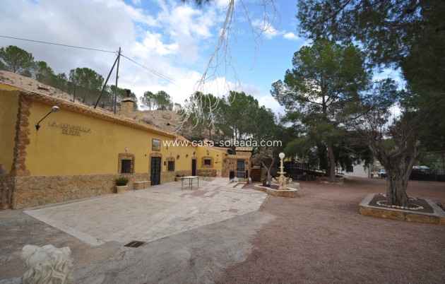 Resale - Country Property/Finca - Pinoso - Inland