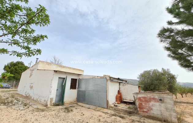 Resale - Country Property/Finca - Pinoso - Inland