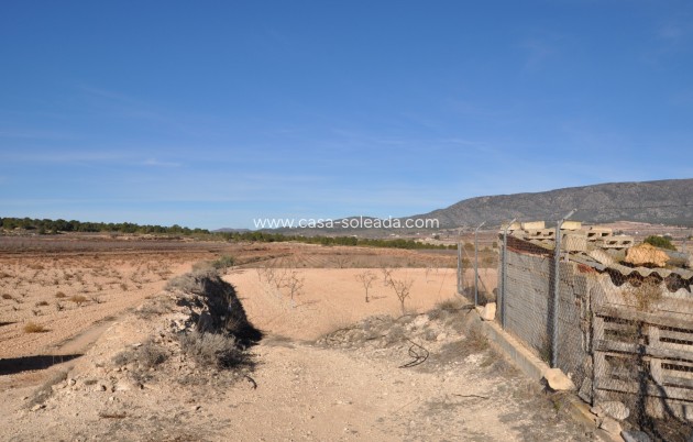 Resale - Country Property/Finca - Pinoso - Inland