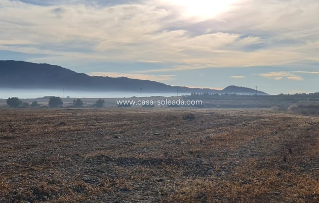 Resale - Land - Monóvar - Inland