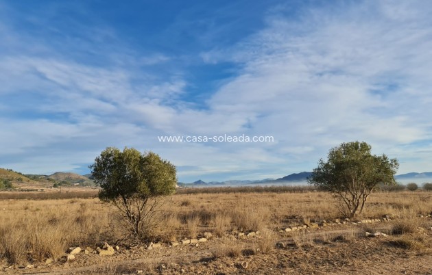 Resale - Land - Monóvar - Inland