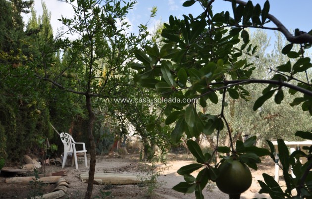 Resale - Country Property/Finca - Pinoso - Inland