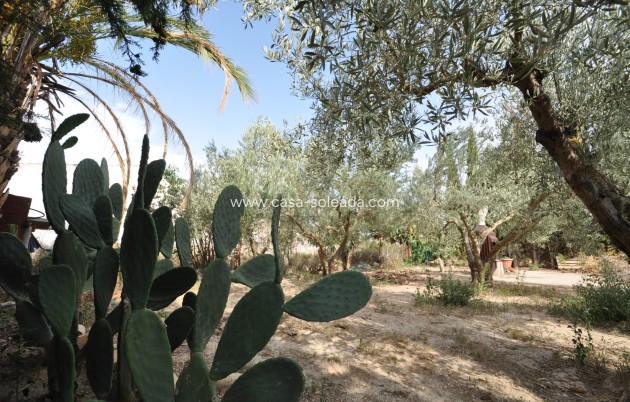 Resale - Country Property/Finca - Pinoso - Inland