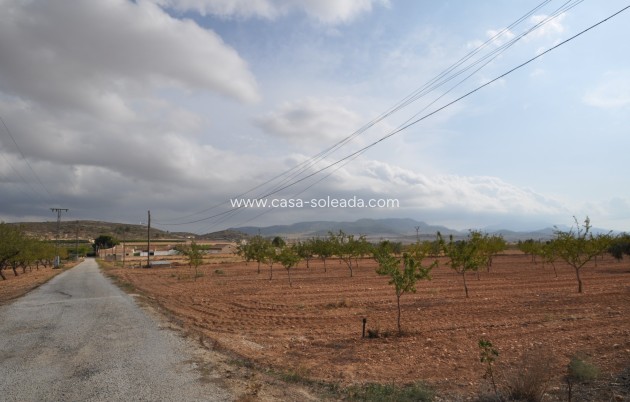 Resale - Country Property/Finca - Pinoso - Inland