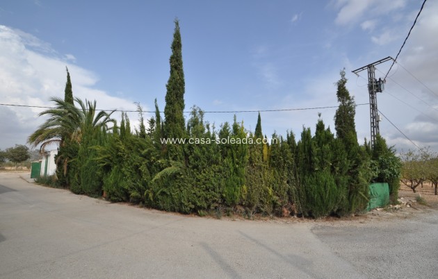 Resale - Country Property/Finca - Pinoso - Inland