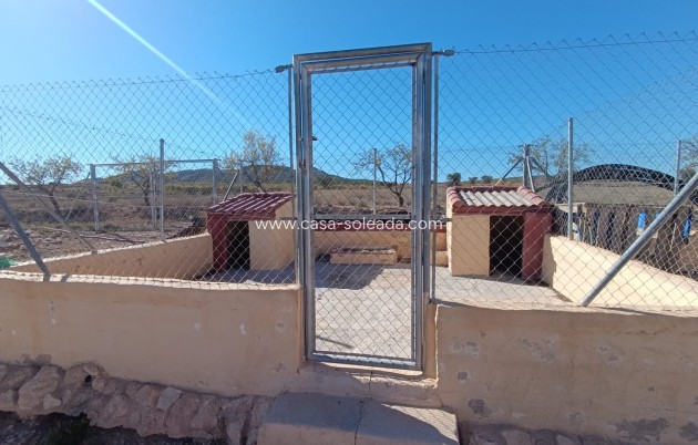 Herverkoop - Country Property/Finca - Jumilla - Inland
