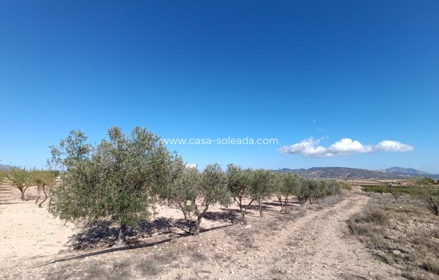 Herverkoop - Country Property/Finca - Jumilla - Inland