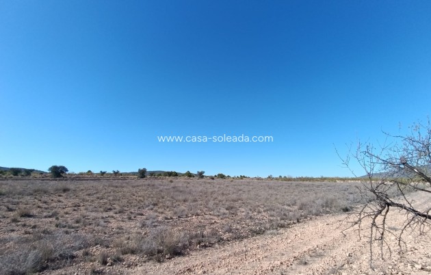 Herverkoop - Country Property/Finca - Jumilla - Inland